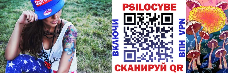Галлюциногенные грибы Psilocybe  shop наркотические препараты  Тавда 