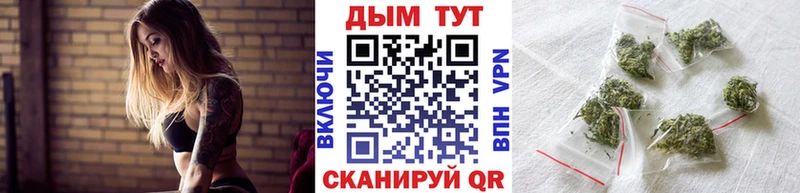 Каннабис Amnesia  Тавда 
